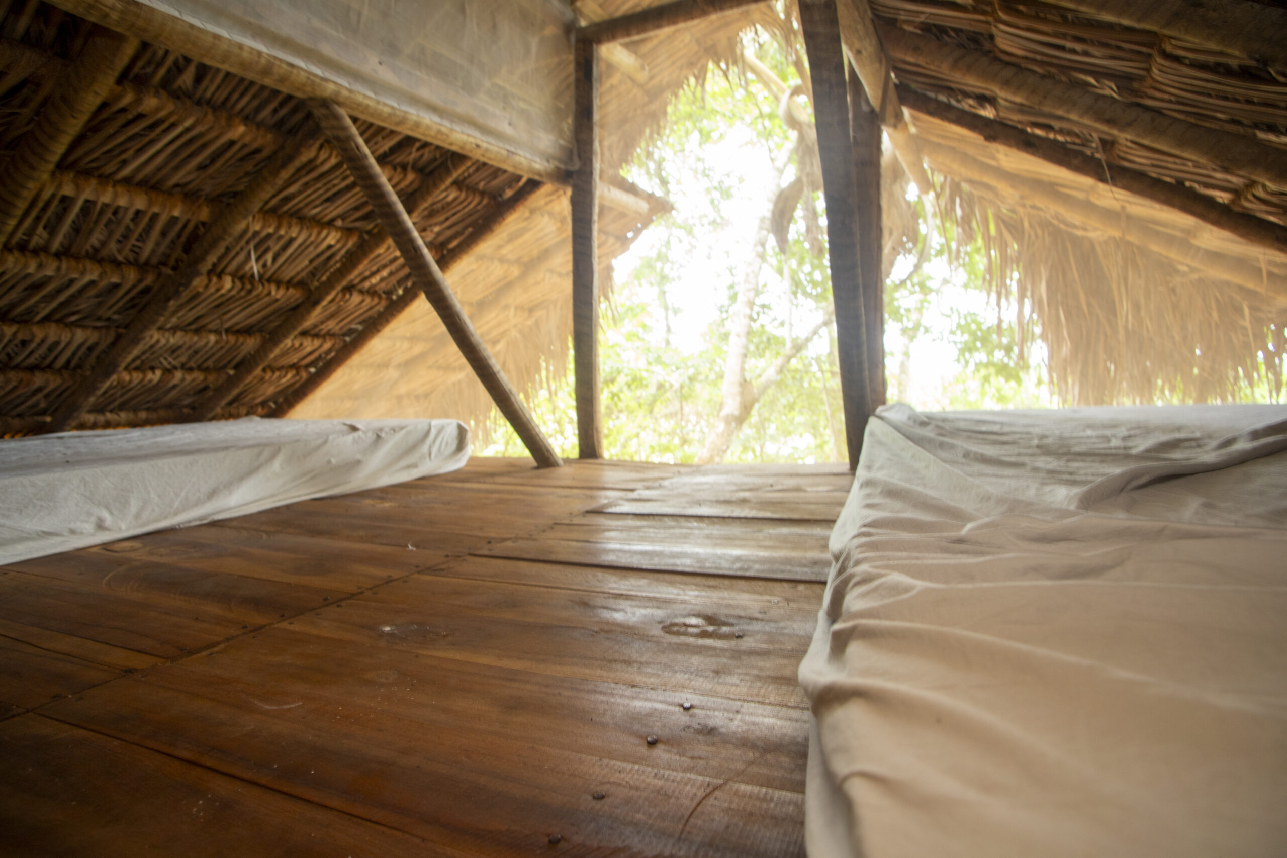 EcoAraguaia - Foto Emerson Silva (165)