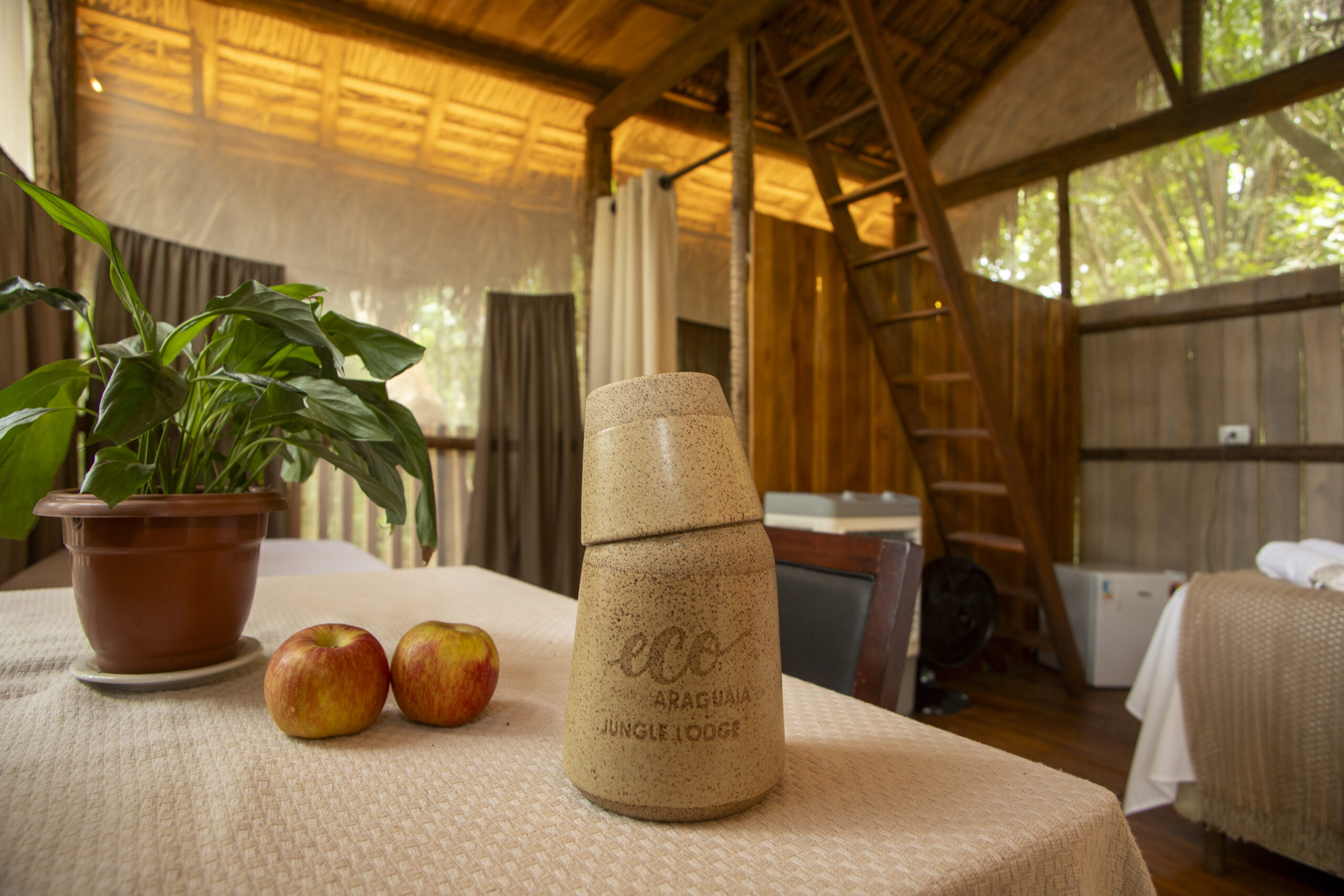 EcoAraguaia - Foto Emerson Silva (167)