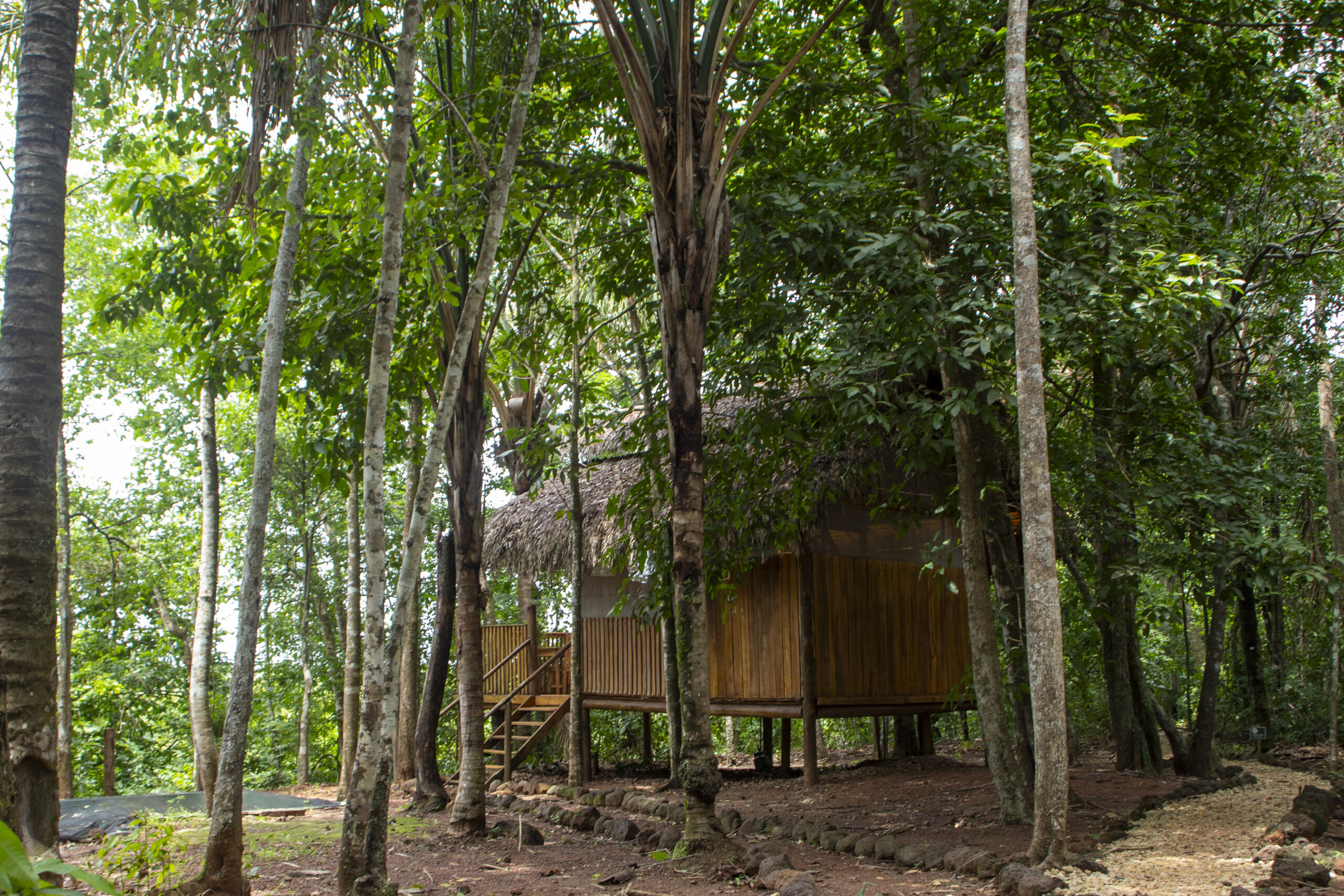 EcoAraguaia - Foto Emerson Silva (175)