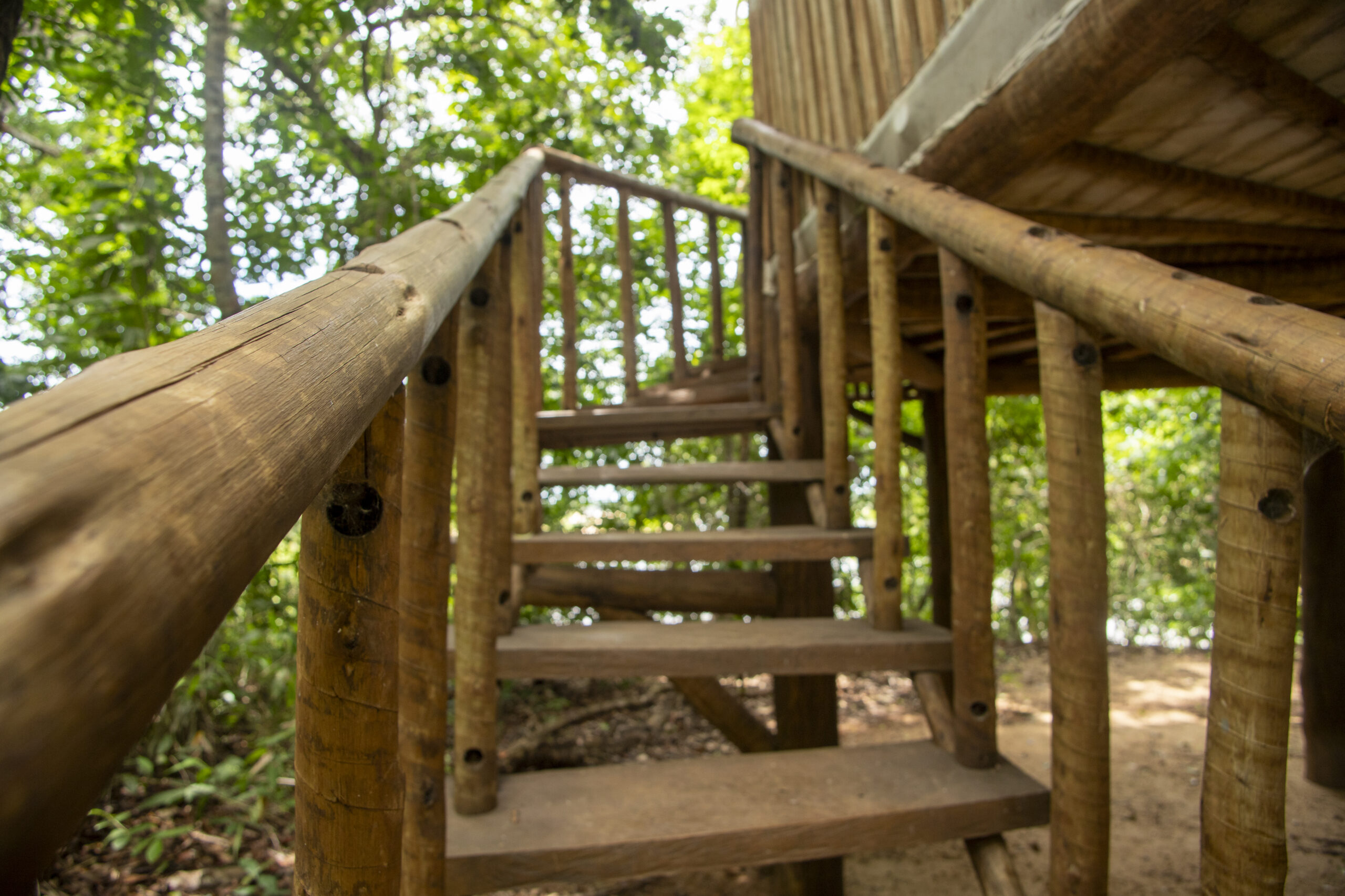 EcoAraguaia - Foto Emerson Silva (176)