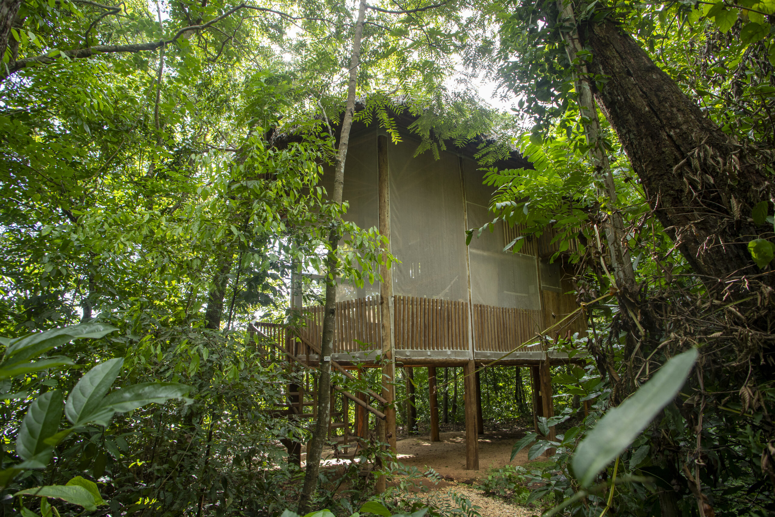 EcoAraguaia - Foto Emerson Silva (69)