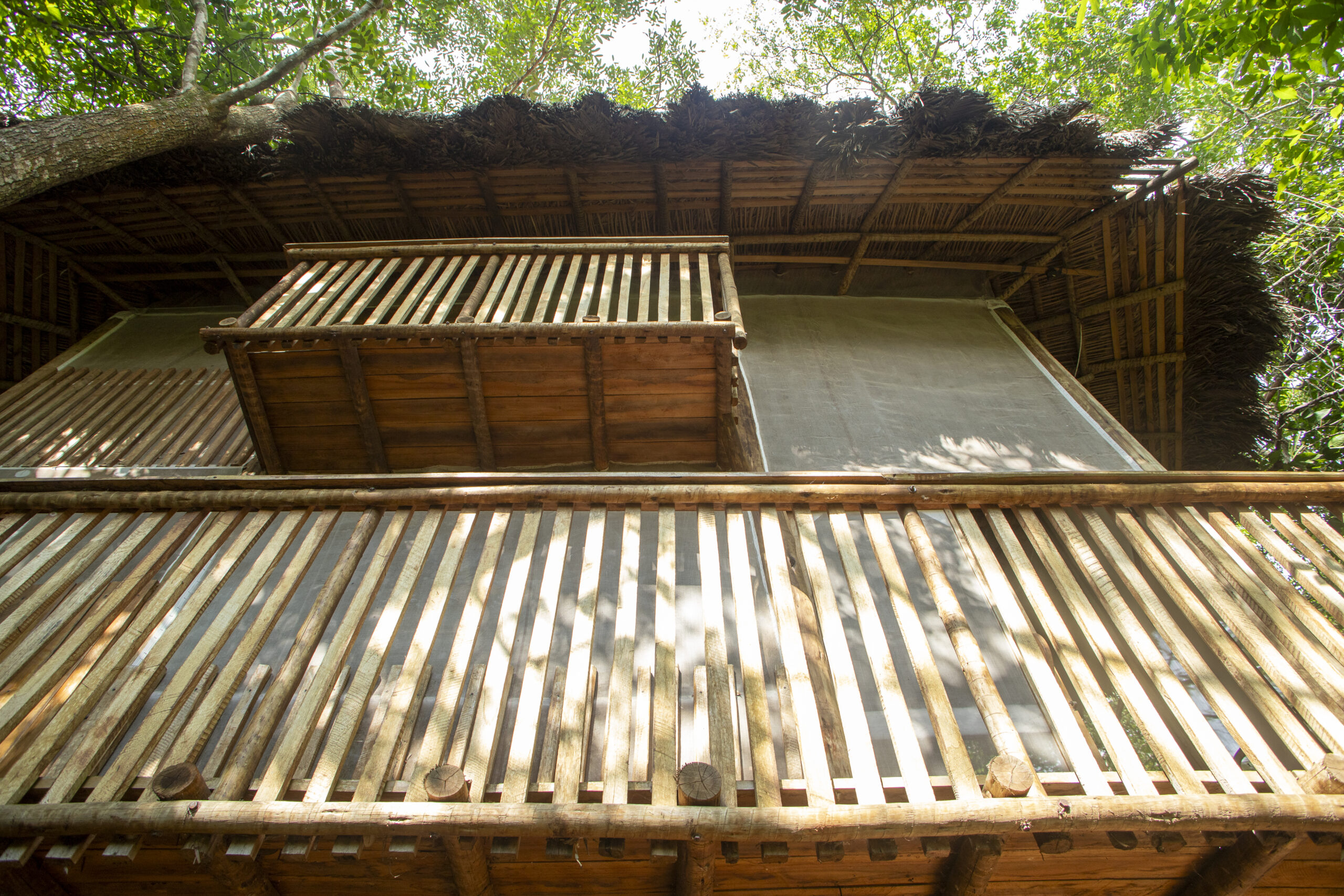 EcoAraguaia - Foto Emerson Silva (70)