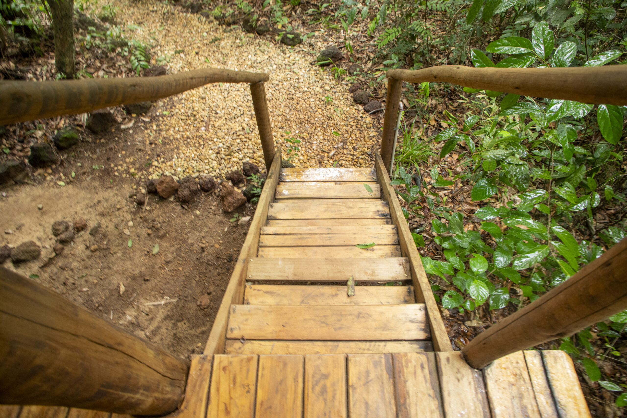EcoAraguaia - Foto Emerson Silva (86)